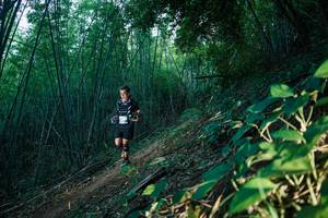 BIB: 
                            <button type="button" onclick="openModal(28124894)" class="btn btn-primary btn-sm float-right btn-popup" data-toggle="modal" data-target=".modal-high-quality">
                        <i class="fas fa-shopping-cart"></i> Add to Cart
                    </button>
                                            <button type="button" onclick="isThisMe(28124894, true)" class="btn btn-success btn-sm float-right btn-popup btn-isme hidden" data-toggle="tooltip" data-placement="bottom" title="นี่คือรูปของคุณใช่ไหม คลิกที่นี่เพื่อเอาเข้าอัลบั้ม">
                        <i class="fas fa-plus"></i> Add to album
                    </button>
                    <button type="button" onclick="isThisMe(28124894, false)" class="btn btn-warning btn-sm float-right btn-popup btn-isnotme hidden">
                        <i class="fas fa-ban"></i> Remove from album
                    </button>